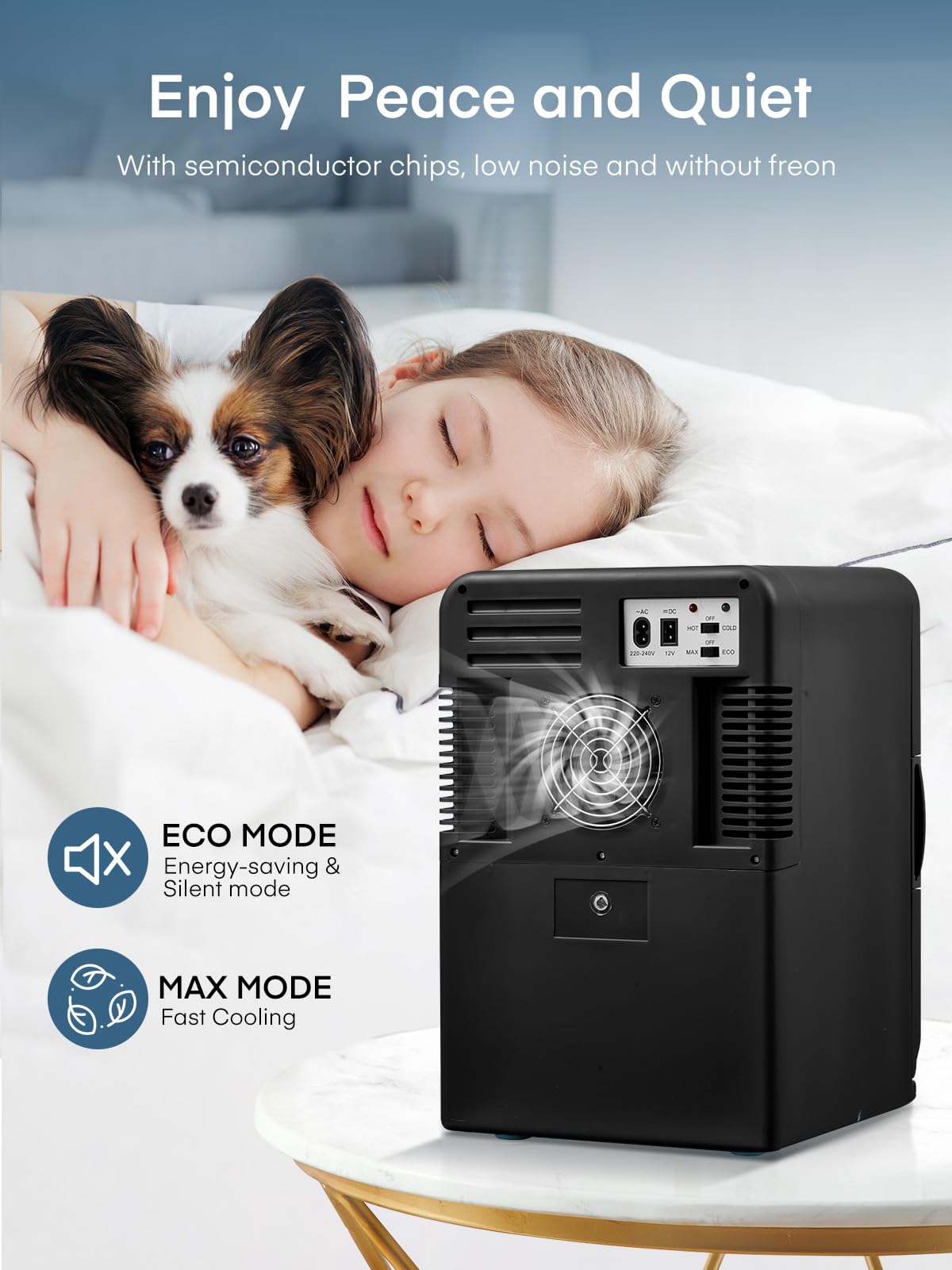 Portable Thermoelectric Mini Fridge Cooler Warmer